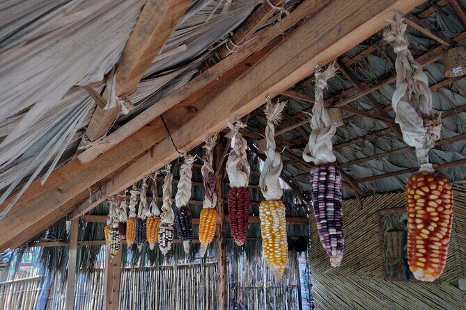 a day in the life of a Zapotec village - Breakfast With César’s Family and the Real Meaning of Chocolate