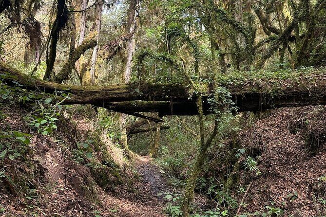 Amazing Walk through the Zapotec Mountains with Hot Chocolate - Key things I’d remember before you book