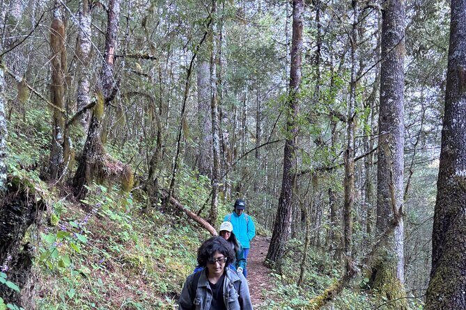 Amazing Walk through the Zapotec Mountains with Hot Chocolate - Price and value: what $93 buys you in the mountains