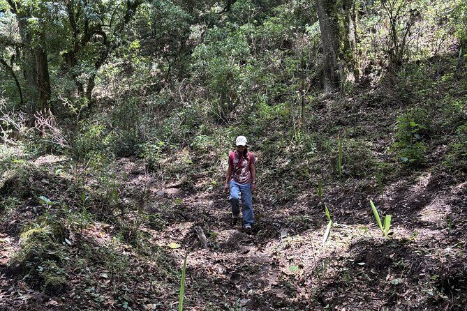 Amazing Walk through the Zapotec Mountains with Hot Chocolate - Who should book this, and who should skip it
