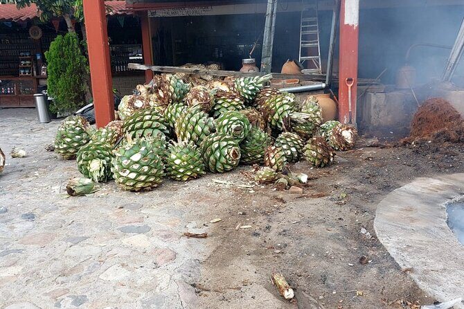 Ancestral Mezcal Tour Experience A pre Hispanic Heritage - Agaves and tasting: turning flavors into lessons