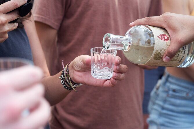Artisanal Mezcal Culture Tour for Tasting and History - Walking the agave fields and learning to spot differences