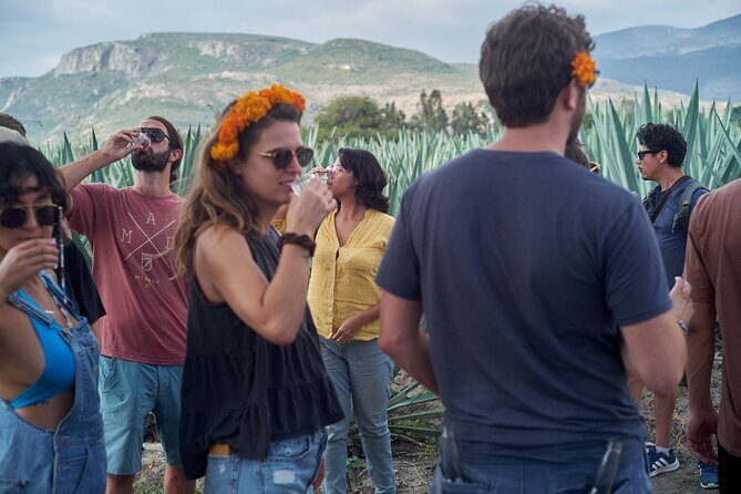 Artisanal Mezcal Culture Tour for Tasting and History - Pre-Hispanic myths, factory process, and a mezcal toast with nature