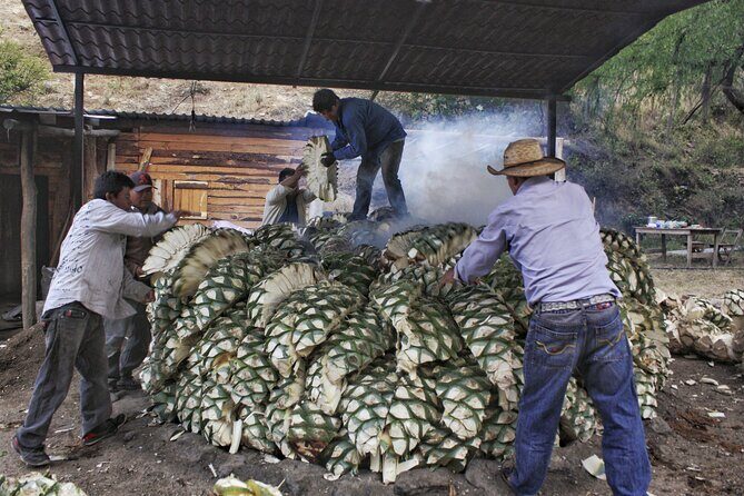 Artisanal Mezcal distillery in an authentic Zapotec village - Agave fields and the craft people protect