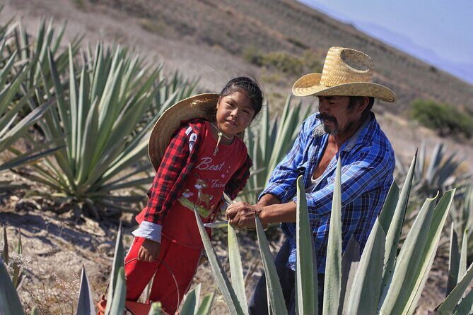 Artisanal Mezcal distillery in an authentic Zapotec village - English, private group pace, and what the $150 buys
