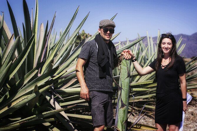 Artisanal Mezcal distillery in an authentic Zapotec village - Zapotec breakfast: bread and chocolate before the agave tour