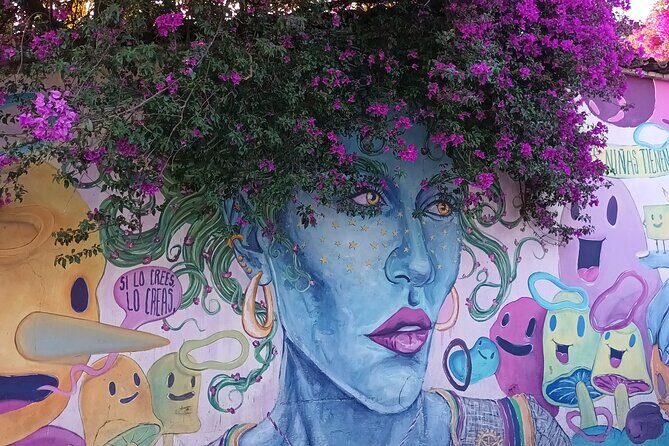 Bicycle Tour through Oaxaca learning about its Urban Art and History - Stop 1 in Oaxaca: street art routes through Jalatlaco and Xochimilco