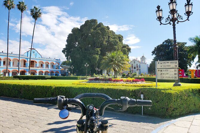 Bike Ride to the Largest Tree in the World - Key things to know before you go