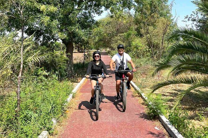 Bike Ride to the Largest Tree in the World - Stop 3 on the way back: the same route, new memories