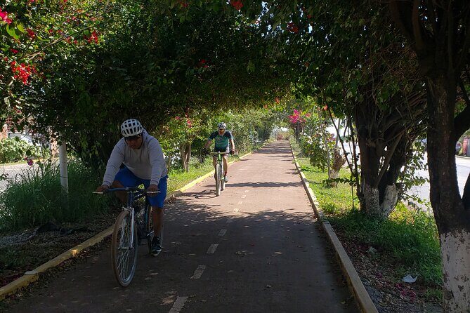 Bike Ride to the Largest Tree in the World - What to bring and how to pace the 3-hour outing