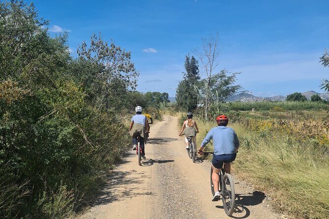 Bike ride to the Tule tree through the countryside - Tule food market breakfast: plan for cash and go with the flow