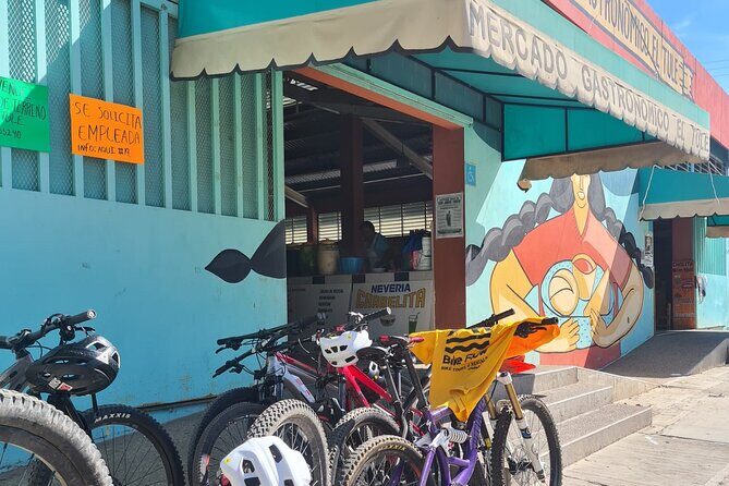 Bike ride to the Tule tree through the countryside - Your MTB setup: comfort, safety, and backup