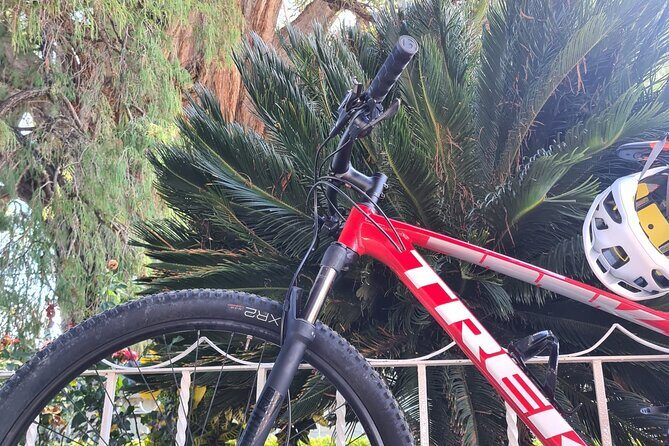 Bike ride to the Tule tree through the countryside - Meeting point and pacing: how to keep the day from running long