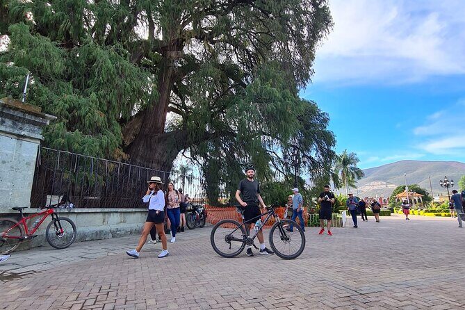 Bike ride to the Tule tree through the countryside - Price and value: what $44.60 buys you in real terms