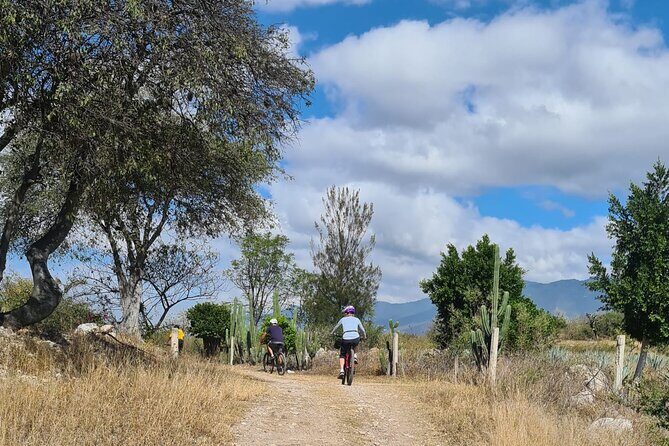 Bike ride to the Tule tree through the countryside - Who this ride is best for (and who should skip it)