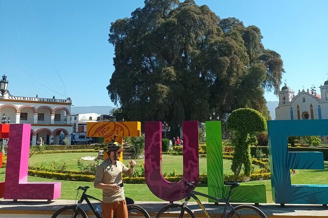 Bike tour to the Tule Tree and the Gastronomic Market - Key takeaways before you book