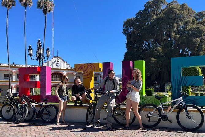 Bike tour to the Tule Tree and the Gastronomic Market - A world-famous tree, with training wheels for your morning