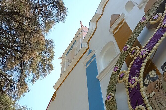 Bike tour to the Tule Tree and the Gastronomic Market - Stop 2: the Gastronomic Market break (and why it matters)