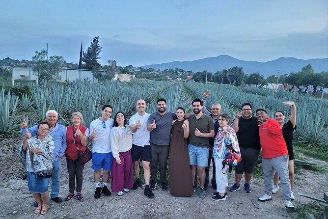 Boil Water,Tube Tree,Mitla,Mezcal and Teotitlan Valley - Restaurante Casa Rayo: Moles, Comal Tortillas, Roast Meats, and Desserts