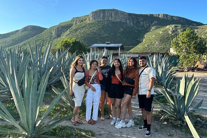 Boil Water,Tube Tree,Mitla,Mezcal and Teotitlan Valley - Mezcal Factory Finale: Agave to Distillation + Free Tastings