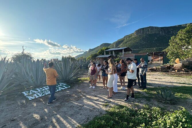 Boil Water,Tube Tree,Mitla,Mezcal and Teotitlan Valley - Price and Logistics: What $47.88 Buys You (and What It Doesn’t)