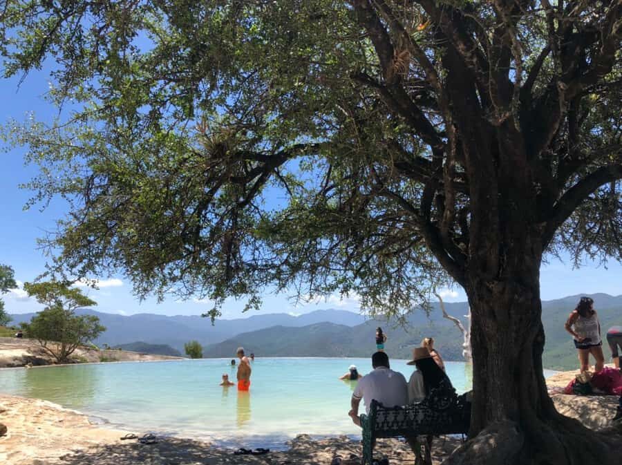 Check out Hierve el Agua, Mitla, the Tule Tree, Rugs, and a Mezcal Distillery Tour - The Tree of Tule: Zapotec Roots in Half an Hour