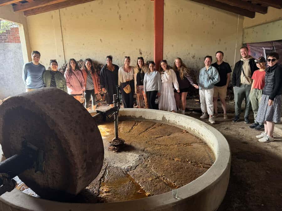 Check out Hierve el Agua, Mitla, the Tule Tree, Rugs, and a Mezcal Distillery Tour - Lunch at the Buffet Stop: Good Enough Base, Not the Main Event