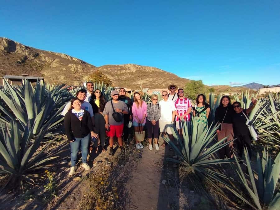 Check out Hierve el Agua, Mitla, the Tule Tree, Rugs, and a Mezcal Distillery Tour - Mezcal Distillery Tour and Tasting: Learn the Process, Then Sample