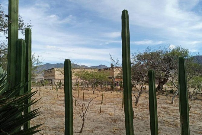 Combo two-day tours, Hierve el Agua Full day and Monte Alban full day - Hierve el Agua: petrified waterfalls, natural pools, and your one-hour choice