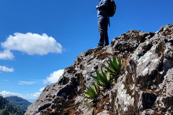 Cuajimoloyas Private Hiking Bushwalking Oaxaca Adventure - Key Highlights I Think You’ll Care About