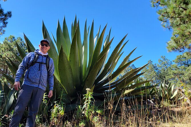 Cuajimoloyas Private Hiking Bushwalking Oaxaca Adventure - The 7:30 am Start at Jardín Etnobotánico de Oaxaca (and Why It’s Worth It)