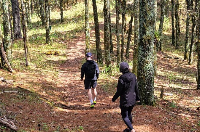 Cuajimoloyas Private Hiking Bushwalking Oaxaca Adventure - Traditions and Gastronomy: Why Food Culture Belongs on a Hike Day