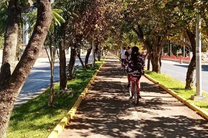 Cycle to the millenary tree "El Tule" - What you’ll learn along the way (without getting stuck in lectures)