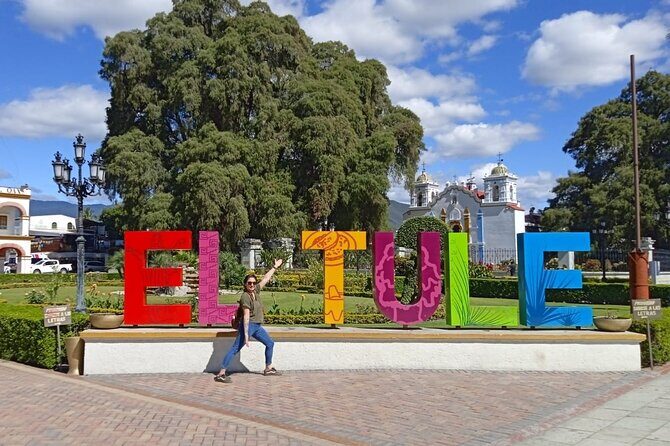 Cycle to the millenary tree "El Tule" - Price and time: $47.82 for about 3 hours that actually flow