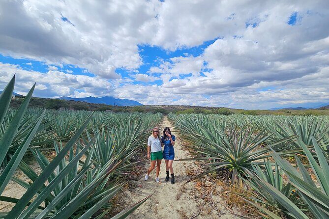 Danzantes Premium Mezcal, Hierve el Agua, Textiles & Lunch - Key highlights to look for