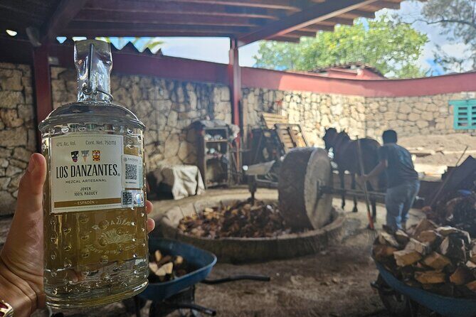 Danzantes Premium Mezcal, Hierve el Agua, Textiles & Lunch - Los Danzantes premium mezcal: tasting labels in a special cave