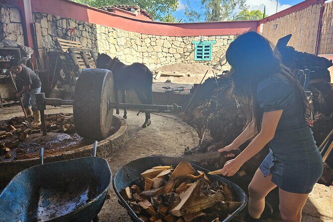 Danzantes Premium Mezcal, Hierve el Agua, Textiles & Lunch - Lunch in the maguey fields: tlayudas and memelas in a rural setting