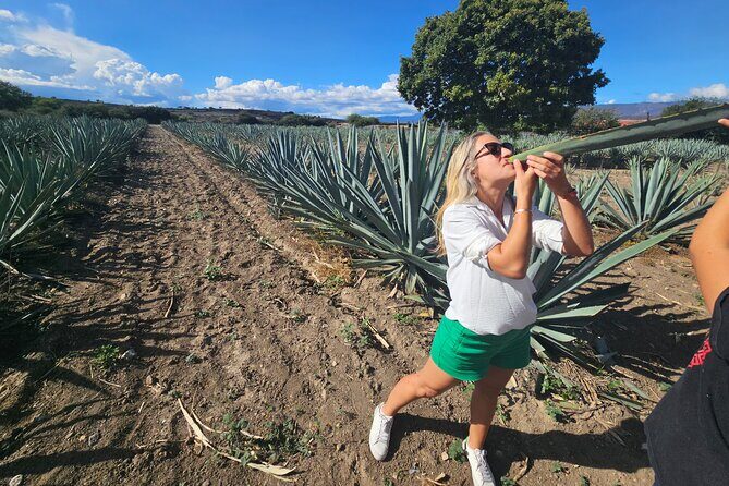 Danzantes Premium Mezcal, Hierve el Agua, Textiles & Lunch - Oaxaca textiles atelier in Santiago Matatlán: see the hands behind the pattern