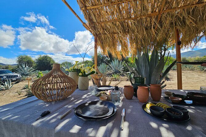Danzantes Premium Mezcal, Hierve el Agua, Textiles & Lunch - Price and logistics: what you’re really paying for at $280