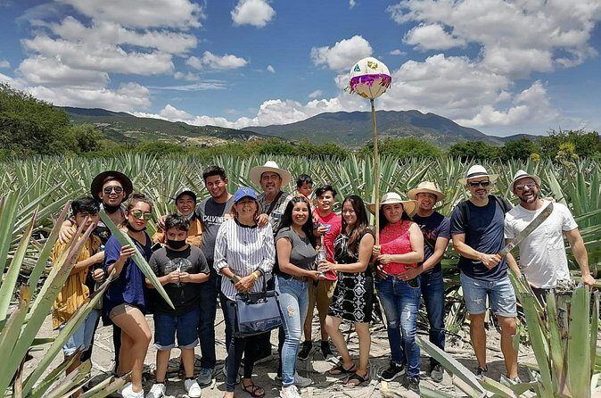 Distillery Tour and Agave Fields by Mal de Amor Mezcal - What you’ll learn about mezcal (and how to use it after the tour)