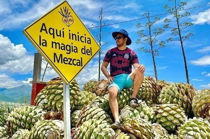 Distillery Tour and Agave Fields by Mal de Amor Mezcal - Value check: what makes this $71.73 feel fair