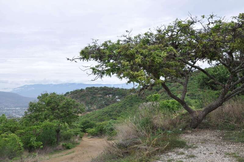 Electric Mountain bike in Oaxaca - Key highlights you’ll actually feel