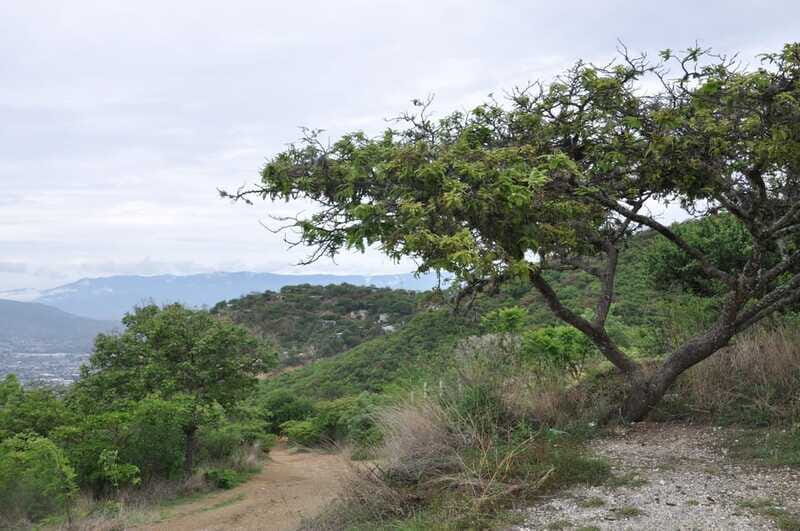 Electric Mountain bike in Oaxaca - Bikes, safety gear, and what to bring to avoid a rough morning