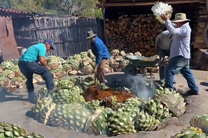 Experience the Mezcal Tour in Oaxaca - Why This Mezcal Tour Fits Into a 4-Hour Oaxaca Day