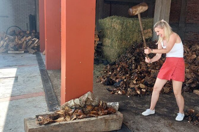 Experience the Mezcal Tour in Oaxaca - Small Group Logistics: Why the Tour Feels Personal