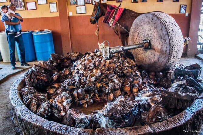Experience the Mezcal Tour in Oaxaca - Price and Value: What $107.53 Really Buys You