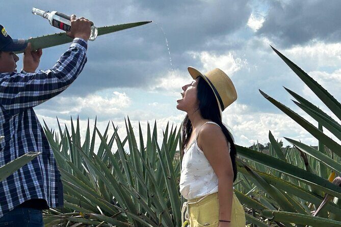 Explore Hierve el Agua, Mitla, Tule, Textile and Mezcal for a day - Stop 4: El Rey de Matatlán mezcal process and tasting session