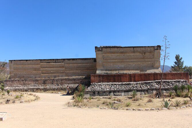 Explore Hierve el Agua, Mitla, Tule, Textile and Mezcal for a day - Stop 5: Santa María del Tule’s giant sabino tree and local legends