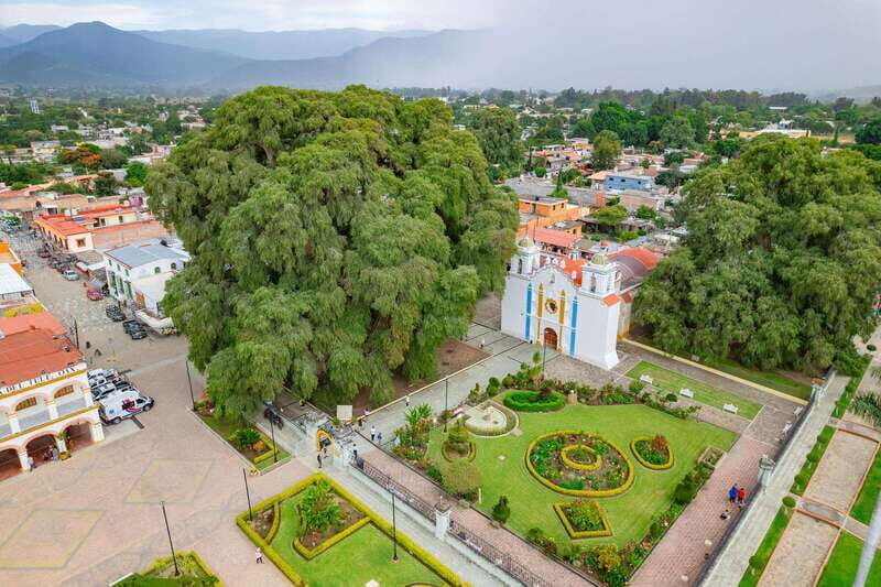 From Oaxaca: City, Mitla, and Mezcal Factory Tour - Key things to know before you go