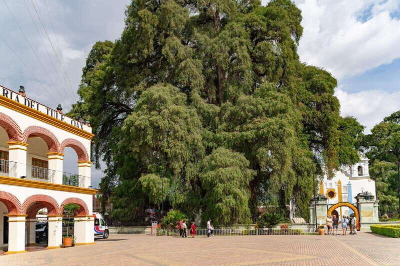 From Oaxaca: City, Mitla, and Mezcal Factory Tour - Why this 8-hour Oaxaca day route makes sense